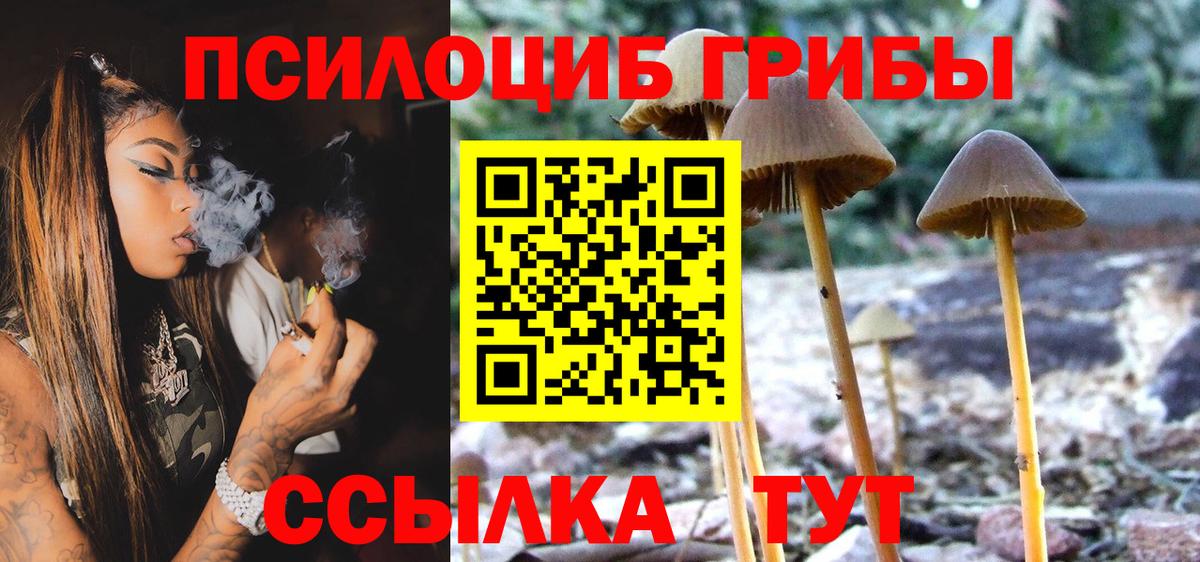 Галлюциногенные грибы Cubensis Смоленск