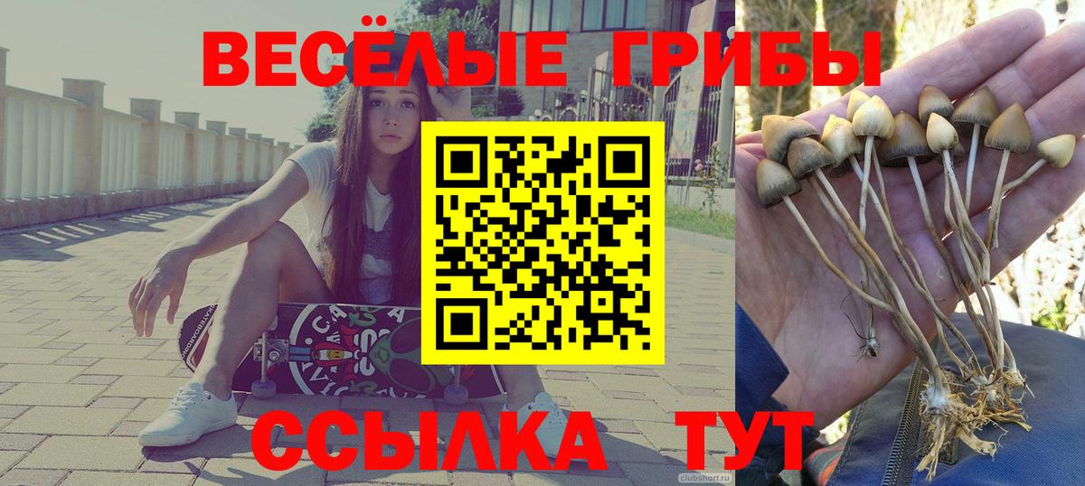 Смоленск  Галлюциногенные грибы мицелий  Вход с VPN 