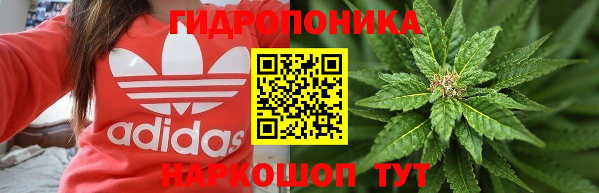 МАРИХУАНА планчик Смоленск